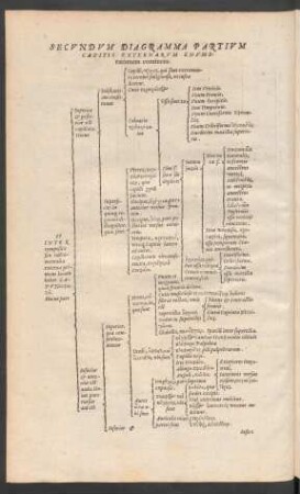 Secundum Diagramma Partium Capitis Externarum Enumerationem continens.