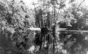 Hohendubrau-Gebelzig-Ober-Gebelzig. Schlossteich, an dem die Wassermühle lag