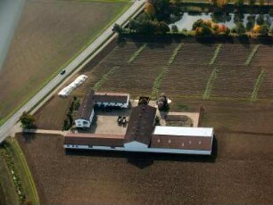 Trebur : Außerhalb südlich davon