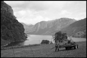 Flåm: Steckenauslegen für die Heuerne , Hintergrund Fjord