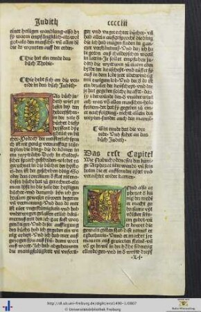 Die vorrede in das buoch Judith