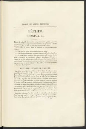 Pêcher. Persica.