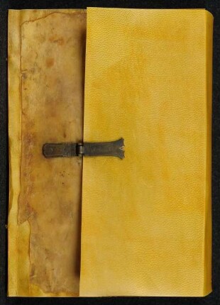 Epitomata seu reparationes totius philosophiae naturalis Aristotelis