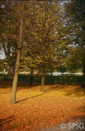 Potsdam, Park Sanssouci, Parterre Bildergalerie und Umgebung.