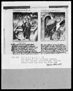 Zwei Schriften — Speculum humanae salvationis — Textseite mit zwei Miniaturen, Folio 82verso
