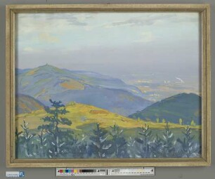 Blick ins Pfälzerland bei Neustadt an der Haardt