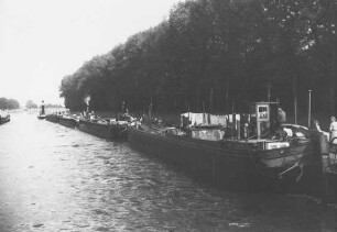 Bewuchs am Sacrow-Paretzer-Kanal (SKP) 1942/Brandenburg