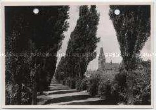 Wattenscheid, Promenade und Probsteikirche St. Gertrud von Brabant