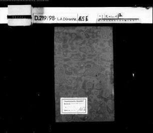 Zulassung, Verbot und Beschlagnahme von Plakaten, Flugblättern und Druckschriften Bd. 4