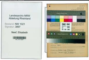 Entnazifizierung Elisabeth Neef , geb. 12.11.1910 (Gewerbeoberlehrerin)