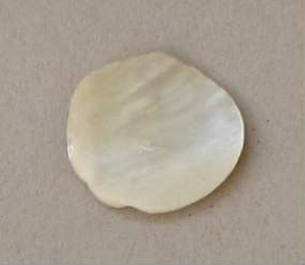 Shell disc