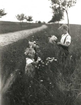 Mädchen und Junge auf einer Wiese beim Blumenpflücken