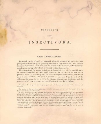 Order Insectivora