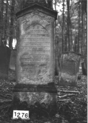 Grabstein 1276 (Index: 99900111) Material: Sandstein Zustand: unten und oben stark verwittert Maße HxBxT: 172x60x28 cm Beschreibung: aufgesockelte Stele mit Dreiecksabschluss, Verdachung mit Akanthus-Akroter Symbolik: Akanthus: Grabstein 1276