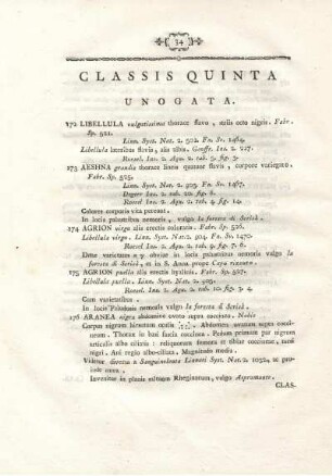 CLASSIS QUINTA