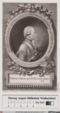 Bildnis Franz I., Kaiser von Österreich (bis 1806 als Franz II. röm.-dt. Kaiser) (reg. 1792 bzw. 1804-1835)