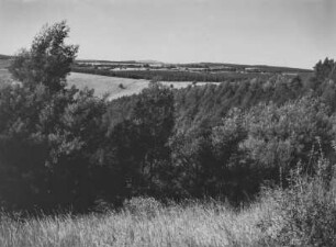 Bewaldete Landschaft : Blick über eine bewaldete Landschaft im südafrikanischen Tafelland