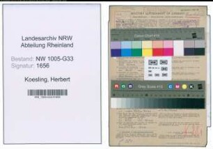 Entnazifizierung Herbert Koesling , geb. 14.11.1917 (Ingenieur)
