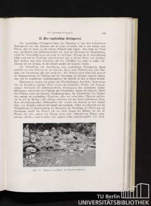 H. Der regelmäßige Steingarten