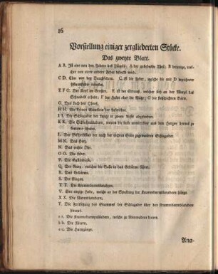 Vorstellung einiger zergliederten Stücke