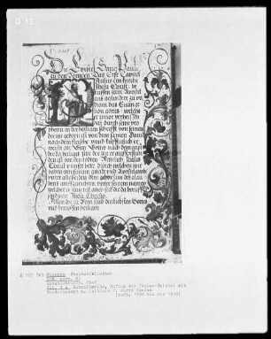 Apostelbriefe in der Verdeutschung Martin Luthers — Initiale P, darin Paulus, und Teilbordüre, Folio 1verso