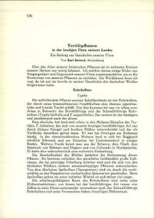 Tertiärpflanzen in der heutigen Flora unseres Landes