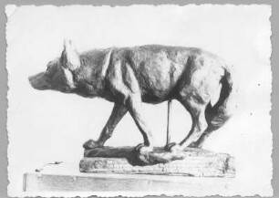 Türkischer Wolf. Tonmodell (1934/1940; E. Richter). Dresden-Südvorstadt, Eisenstuckstraße, Atelier der Bildhauerin