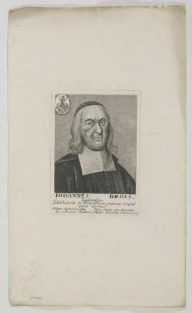 Bildnis des Iohannes Gross