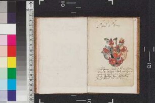 Haller von Hallerstein, Johann Ernst; Blatt 8