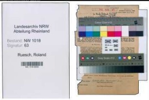 Entnazifizierung Roland Ruesch , geb. 13.03.1890 (Chemiker)