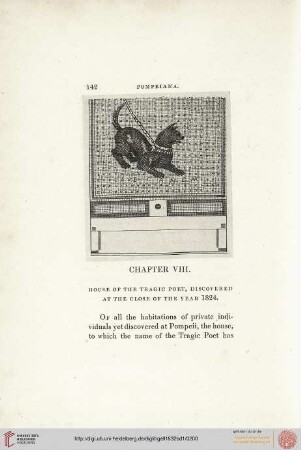 VIII. House of the Tragic Poet