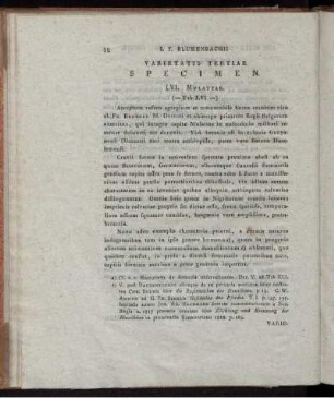 Varietatis Tertiae Specimen. (Tab. LVI.)