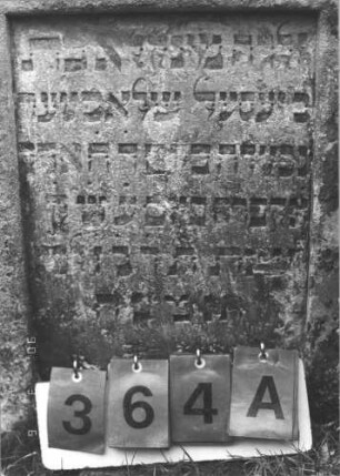Grabstein 364 (Index: 99609088) Material: Sandstein Zustand: leicht verwittert Maße HxBxT: 87x53x12 cm Beschreibung: Stele, Giebel, Schriftfeld eingetieft: Grabstein 364A