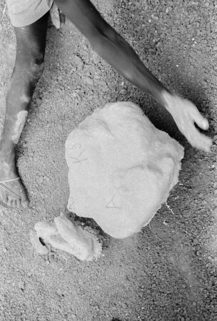 Grabungsbild : Aufnahme von einem mit Gips ummantelten Dinosaurierknochenfund