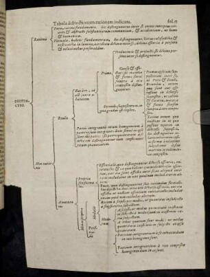 Tabula distinctionum rationem indicans.