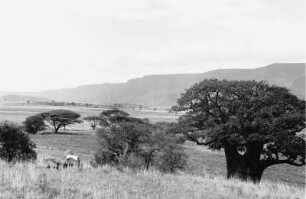 Landschaft : Blick über die Landschaft einer Bruchstufe