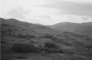 Plateau von Dita : Ebene Landschaft