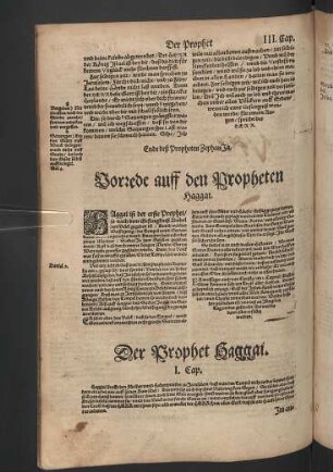 Der Prophet Haggai.