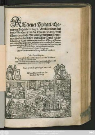 AEtzenei Spiegel/ Ge=||meyner Jnhalt derselbigen/ Wes bede einem Leib || vnnd Wundtartzt/ in der Theoric/ Practic/ vnnd || Chirurgei zůsteht. Mit anzeyge bewerter Artznei=||en/ zů allen leiblichen Gebrechen ... || Hie beuor durch D. Ioan. Dryandrum,|| Jtzt widerumb/ mit verbesserung/ inn Truck verordnet.|| ... ||