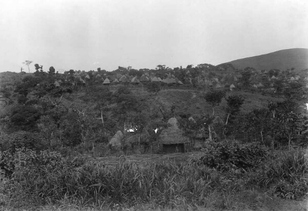 Landscape with settlement