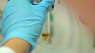 Iron catalysis for biaryl coupling and ether cleavage reactions