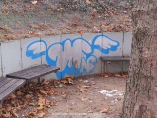 MAG