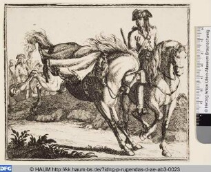 Reiter mit bäumendem Pferd