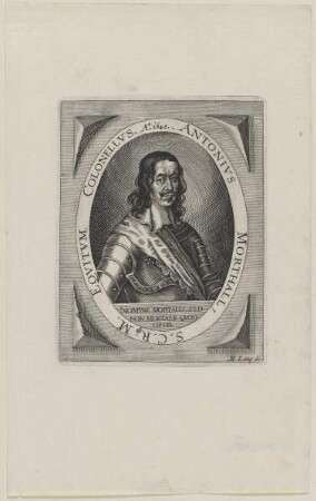 Bildnis des Antonivs Morthall