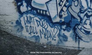 WHAT DOeS IT ALL MeAN?