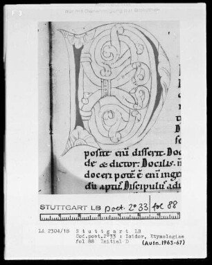 Isidor von Sevilla, Etymologiae — Initiale D, Folio 88recto