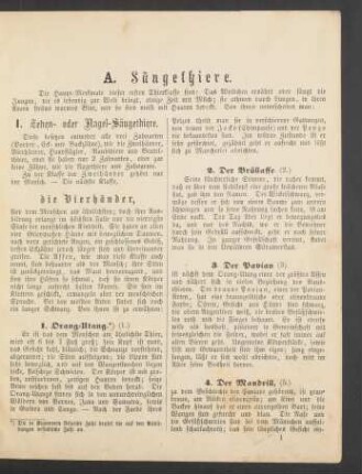 A. Säugethiere.