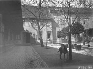 Garten des alten Neumarktschützenhauses