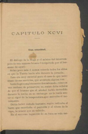 Capítulo XCVI - Una crueldad.