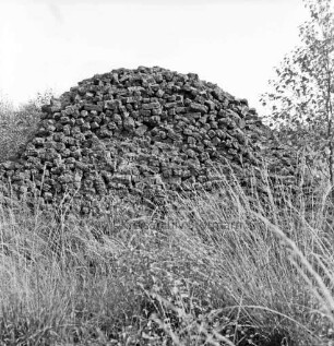 Nienwohlder Moor: Torfabbau: Torfmiete aus Torfsoden: im Vordergrund Gräser, rechts Strauch